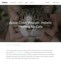 Apple Cider Vinegar: Holistic Healing for Cats – petnet.io