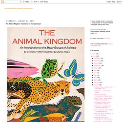 The Animal Kingdom - illustrated by Charley Harper