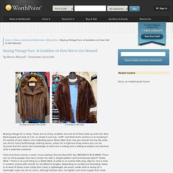 Buying Vintage Furs: A Guideline on How Not to Get Skinned