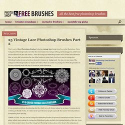 25 Vintage Lace Photoshop Brushes