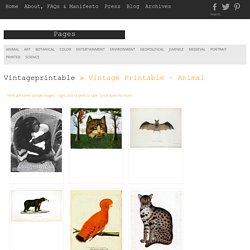 vintage animal prints