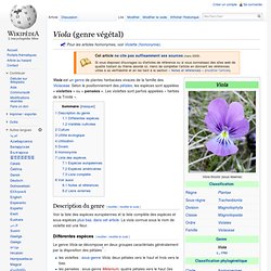 Viola (genre végétal)