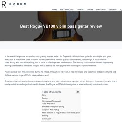 Best Rogue VB100 violin bass guitar review - instroreview.com