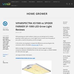 VIPARSPECTRA XS1500 vs SPIDER FARMER SF-1000 LED Grow Light Reviews – ViparSpectra