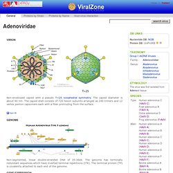 ViralZone: Adenoviridae