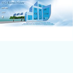 Virtual Business Incubator