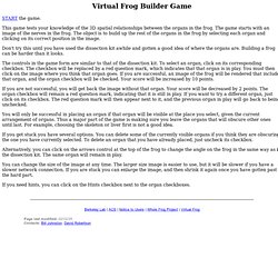 Virtual Frog Builder Game