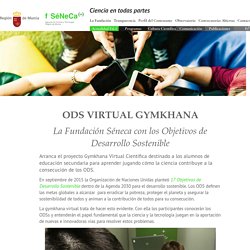Virtual Gymkhana
