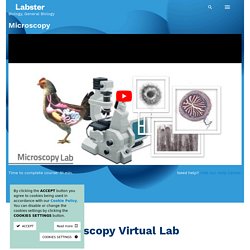 Virtual Lab: Microscopy Virtual Lab