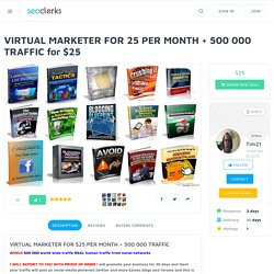 VIRTUAL MARKETER FOR 25 PER MONTH + 500 000 TRAFFIC for $25
