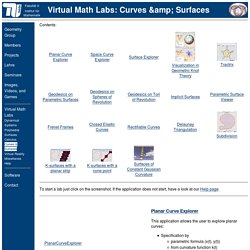 Virtual Math Labs: Curves and Surfaces