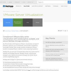 VMware Server Virtualization – Data Storage Solutions