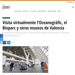 Visita virtualmente l'Oceanogràfic, el Bioparc y otros museos de Valencia - Valencia Secreta