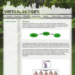 Virtualskogen - Skogsstigen