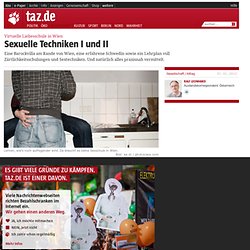 Virtuelle Liebesschule in Wien: Sexuelle Techniken I und II
