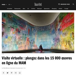 Visite virtuelle : plongez dans les 15 000 œuvres en ligne du MAM
