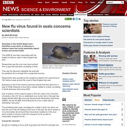 New flu virus found in seals concerns scientists
