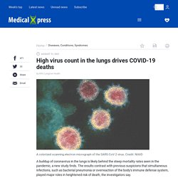 High virus count in the lungs drives COVID-19 deaths