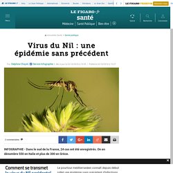 Virus du Nil : une épidémie sans précédent 