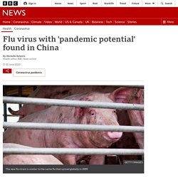 Flu virus with 'pandemic potential' found in China