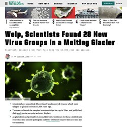 New Viruses - Melting Glaciers - Permafrost