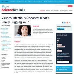 Viruses/Infectious Diseases: What’s Really Bugging You?
