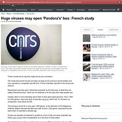 Huge viruses may open 'Pandora's' box: French study