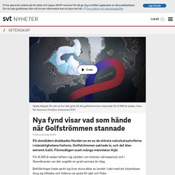 Nya fynd visar vad som hände när Golfströmmen stannade