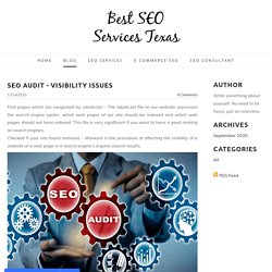 SEO Audit - Visibility Issues - Best SEO Services Texas