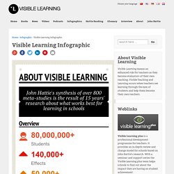 Visible Learning Infographic