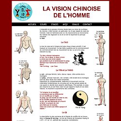 vision chinoise