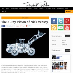 The X-Ray Vision of Nick Veasey