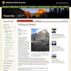 Visiting in Winter - Yosemite National Park