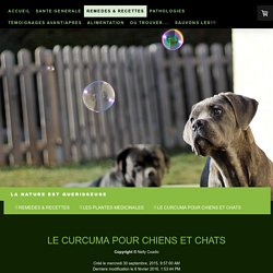 LE CURCUMA POUR CHIENS ET CHATS - Site de vismedicatrixnaturae ! La nature est guerisseuse - Remedes naturels pour chiens et chats