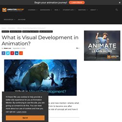 What is Visual Development in Animation?
