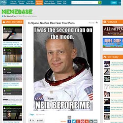Puns, Puns, Puns! So Much Pun in Pictures
