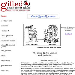 Visual-Spatial Learners