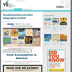 Best Infographics of 2010 - VisualEconomics.com