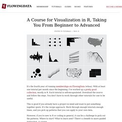 A Course for Visualization in R, Taking You From Beginner to Advanced