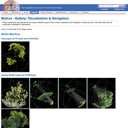Walrus - Gallery: Visualization & Navigation