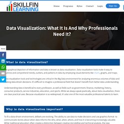 Data Visualization: What it is and why professionals need it? - Skillfin Learning
