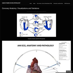 Coronary Anatomy: Visualizations and Variations « Case Studies in EKG Pathology