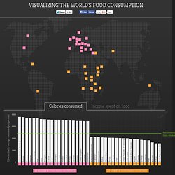 Visualizing the World's Food Consumption