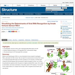 Structure - Visualizing the Determinants of Viral RNA Recognition by Innate Immune Sensor RIG-I