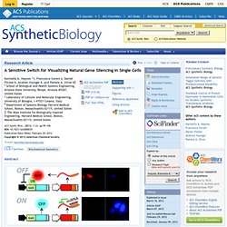 A Sensitive Switch for Visualizing Natural Gene Silencing in Single Cells - ACS Synthetic Biology