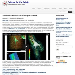 See What I Mean? Visualizing in Science > Science for the Public