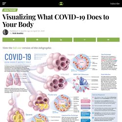 Visualizing What COVID-19 Does to Your Body - Visual Capitalist