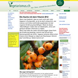 Vitamin B12: aus vegetarischer Sicht. Vegi-Info 2005/1