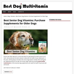 Best Quality Vitamins for Senior Dog