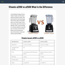 Vitamix a2300 vs a2500 What is the Difference